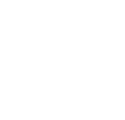 ftr_logo icon logo